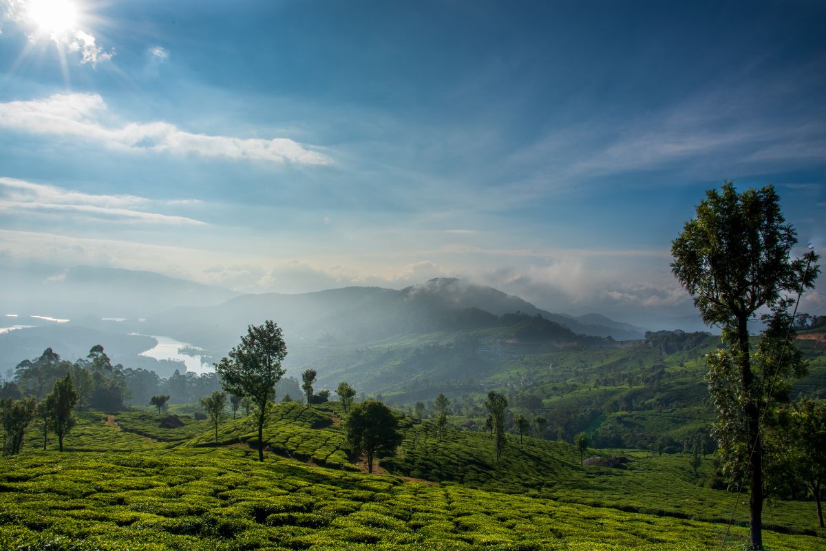 Ekzotik Kerala va Goa