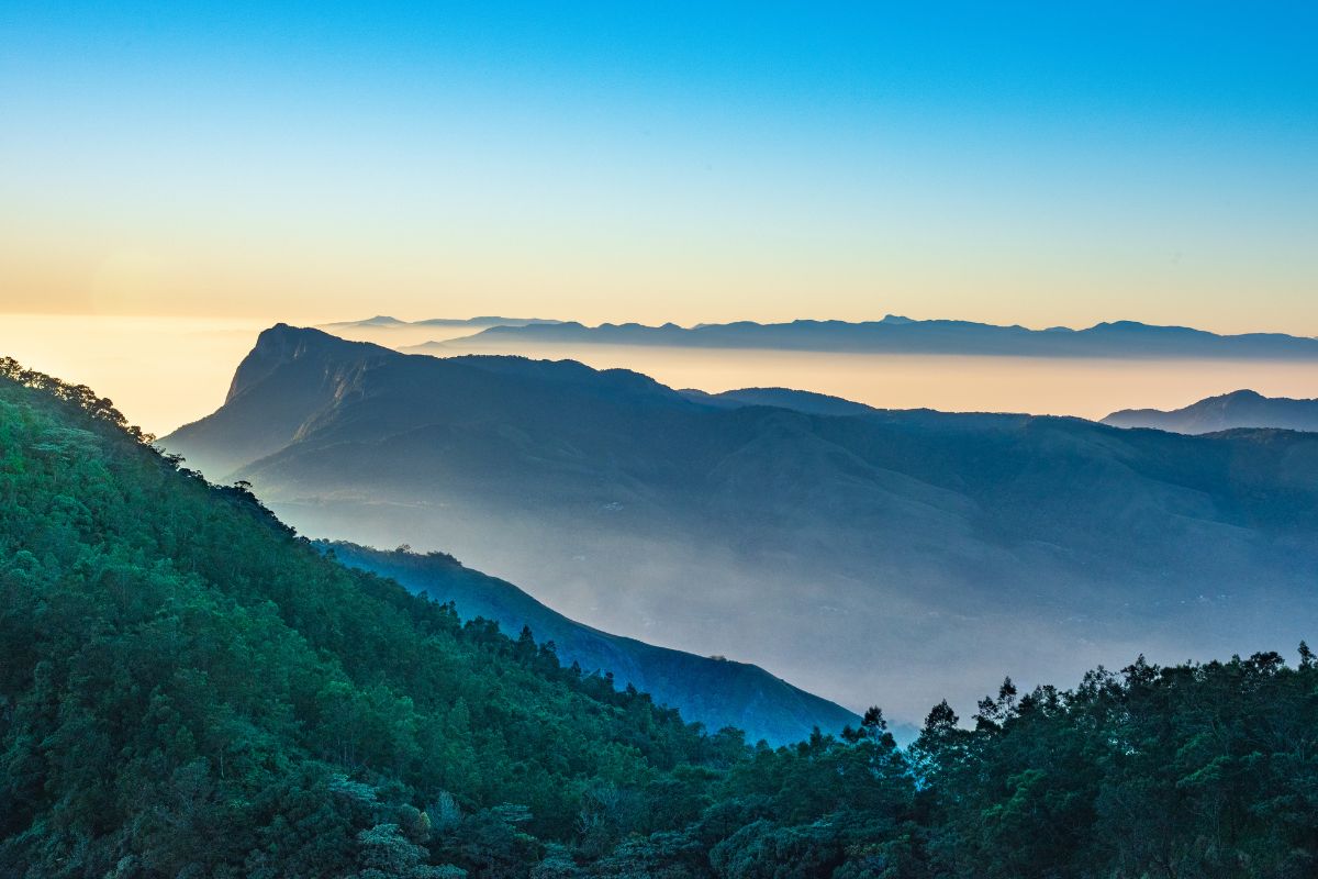 Ekzotik Kerala va Goa